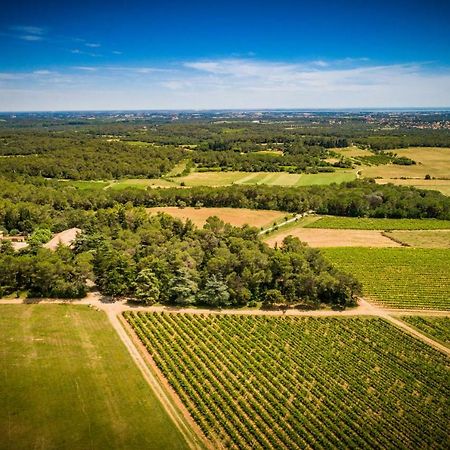 Gite Du Domaine Saint Jean De L'Arbousier แคสตรีส์ ภายนอก รูปภาพ