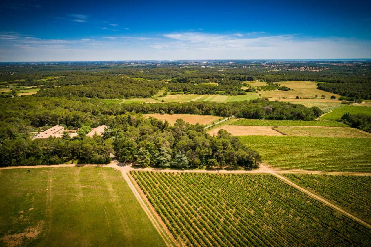Gite Du Domaine Saint Jean De L'Arbousier แคสตรีส์ ภายนอก รูปภาพ